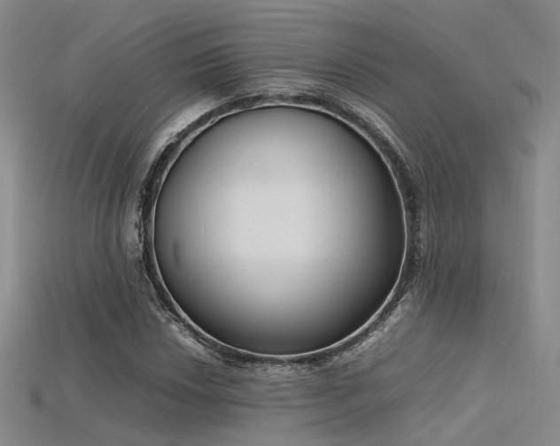 X0000115741018200911121533