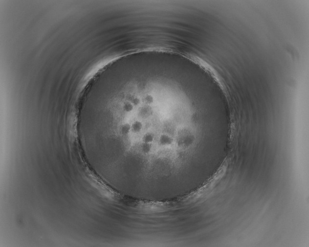 X0000115741019200911121533