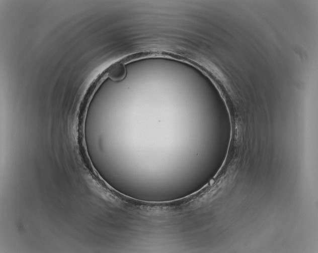 X0000115741020200911121533