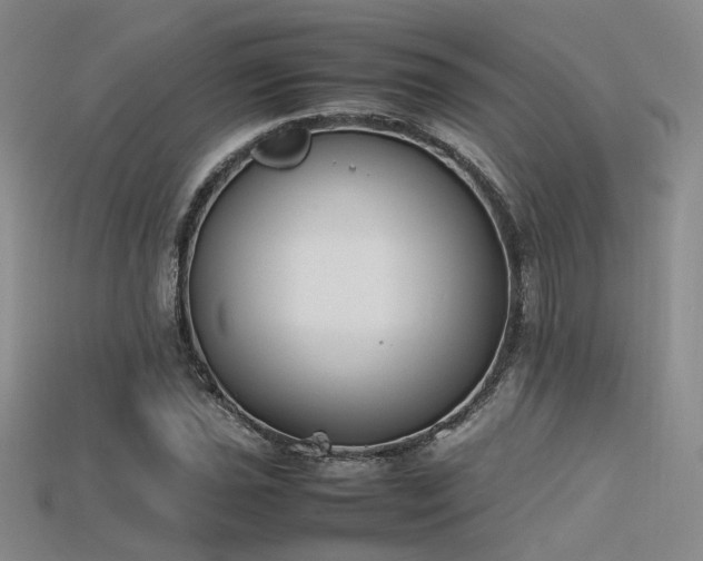 X0000115741021200911121533