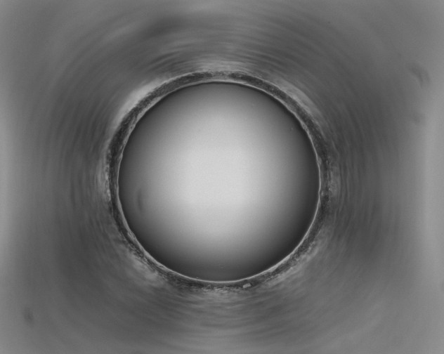 X0000115741022200911121533