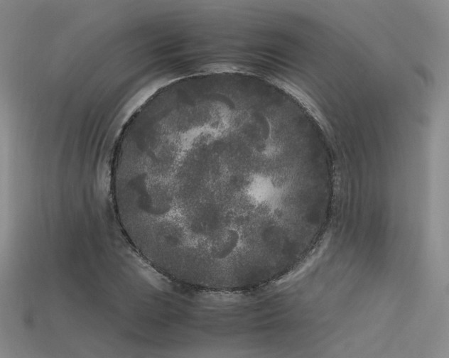 X0000115741023200911121533