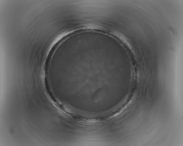 X0000115741024200911121533