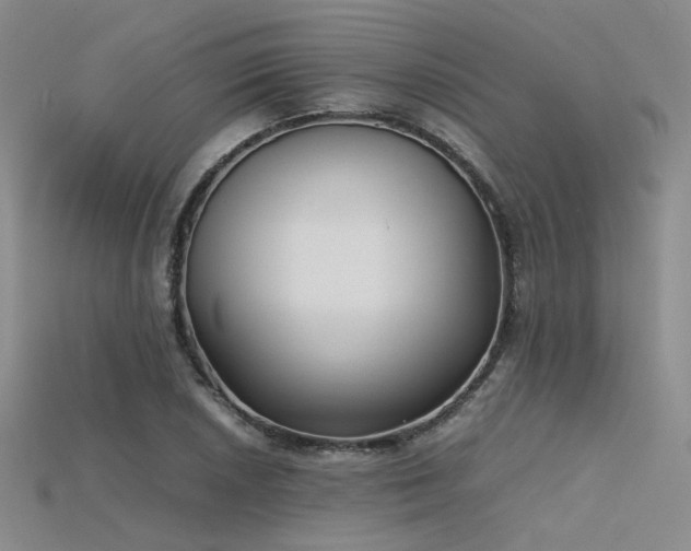 X0000115741026200911121533