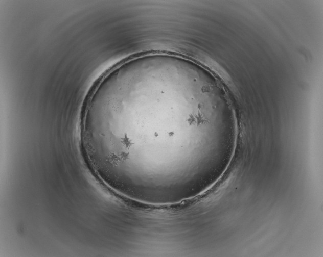 X0000115741028200911121533