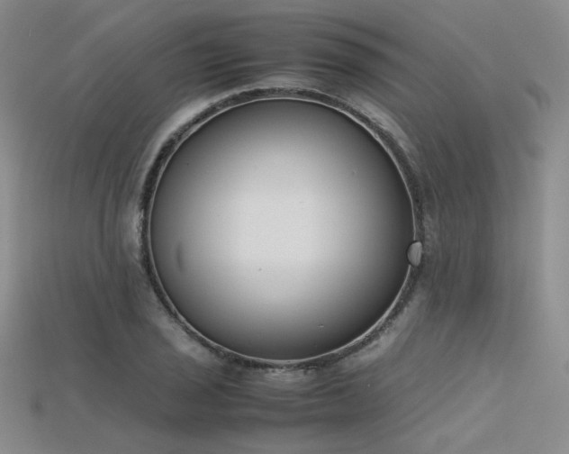 X0000115741029200911121533