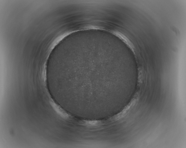 X0000115741031200911121533