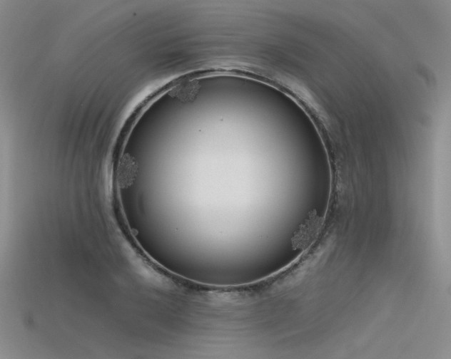 X0000115741032200911121533