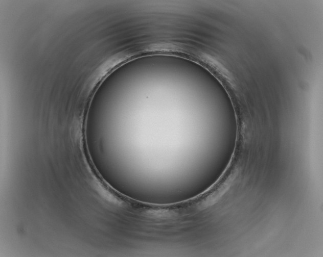 X0000115741033200911121533