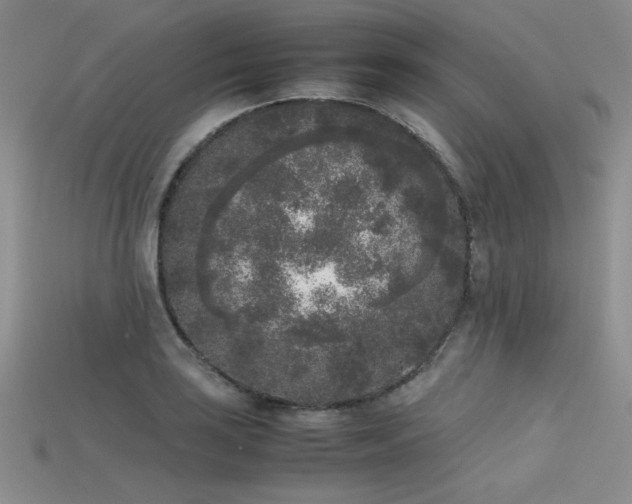 X0000115741035200911121533