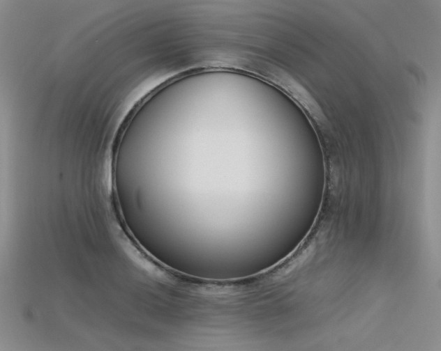 X0000115741036200911121533