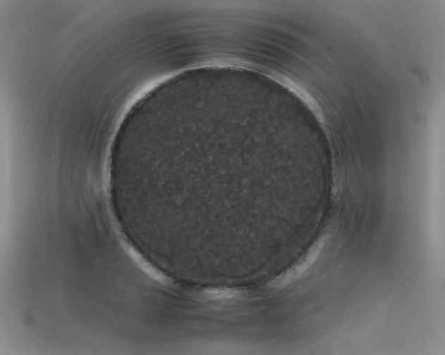 X0000115741037200911121533