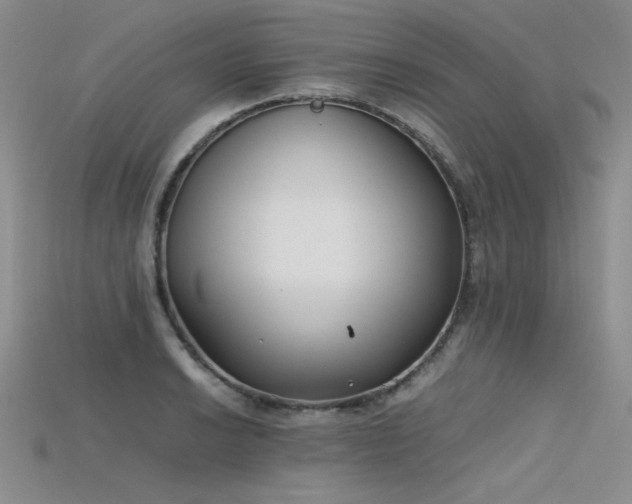 X0000115741038200911121533