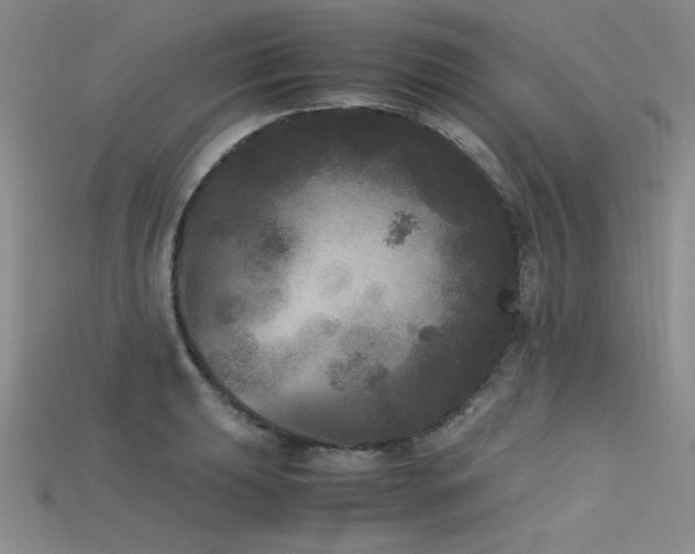 X0000115741039200911121533