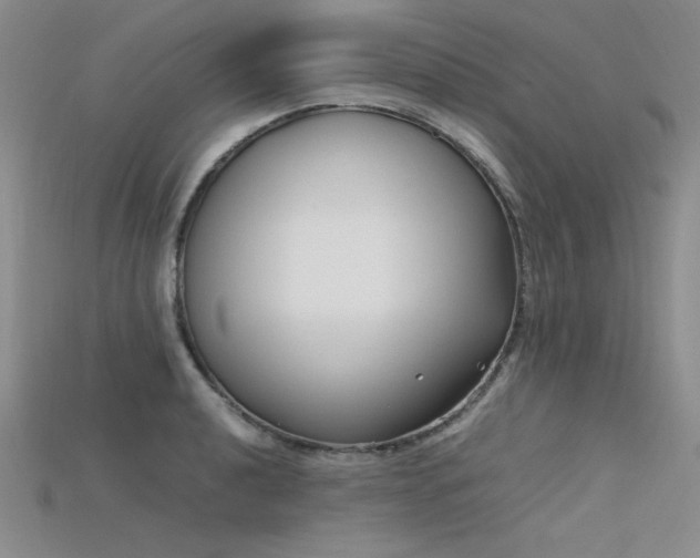 X0000115741040200911121533