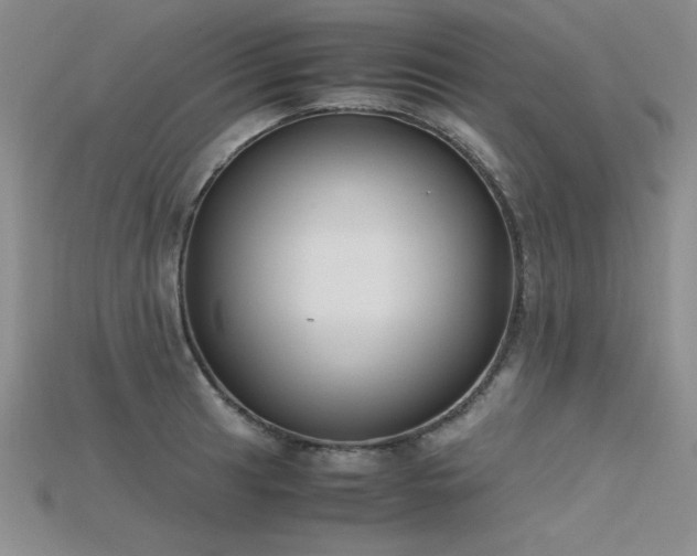 X0000115741041200911121533
