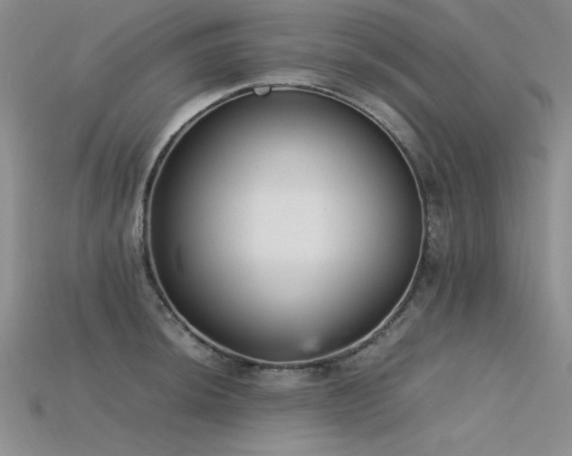 X0000115741044200911121533