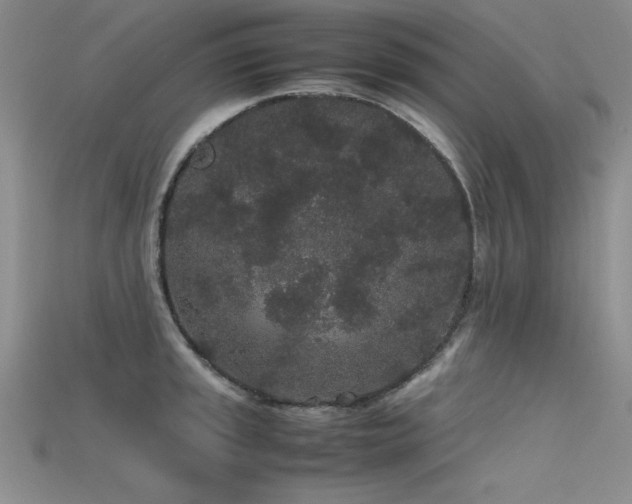 X0000115741045200911121533