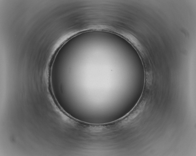 X0000115741046200911121533