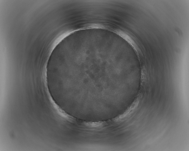X0000115741047200911121533