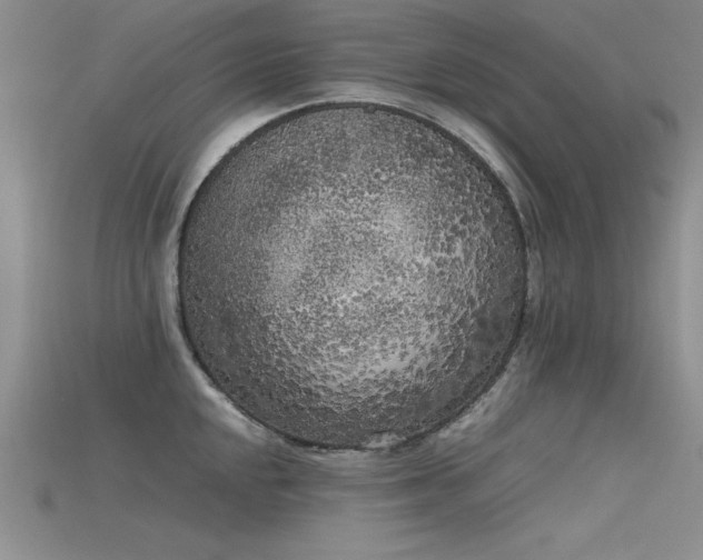 X0000115741048200911121533