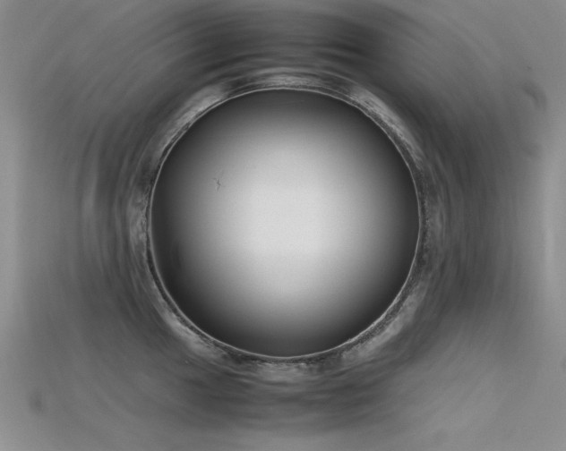X0000115741049200911121533