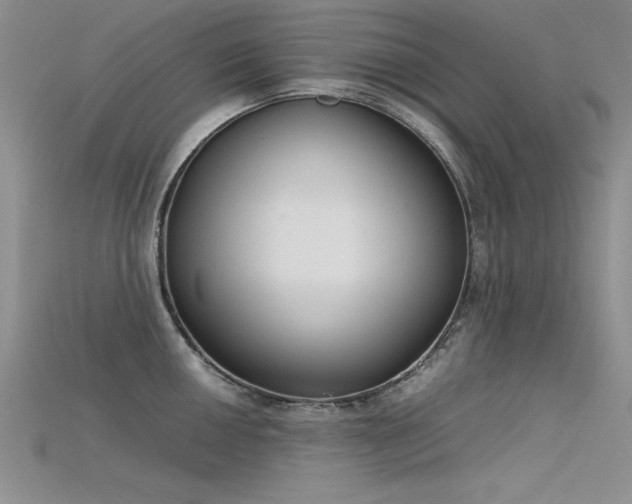 X0000115741050200911121533