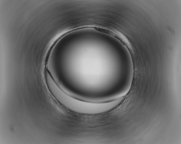 X0000115741051200911121533