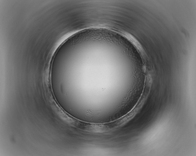 X0000115741052200911121533