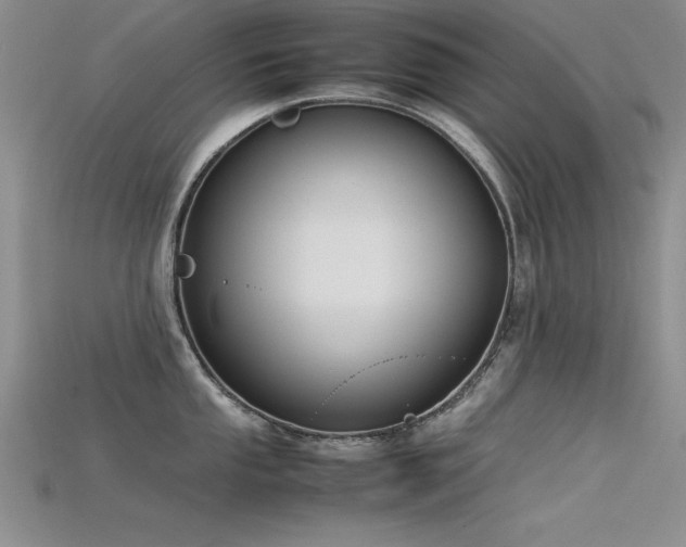 X0000115741053200911121533