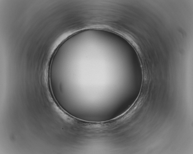 X0000115741054200911121533