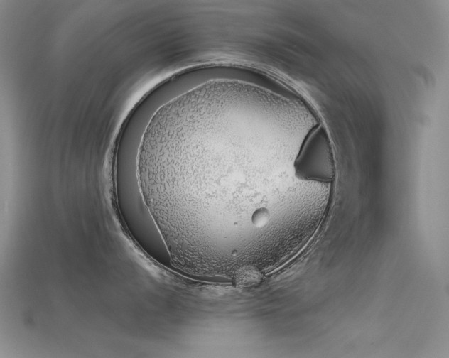 X0000115741056200911121533