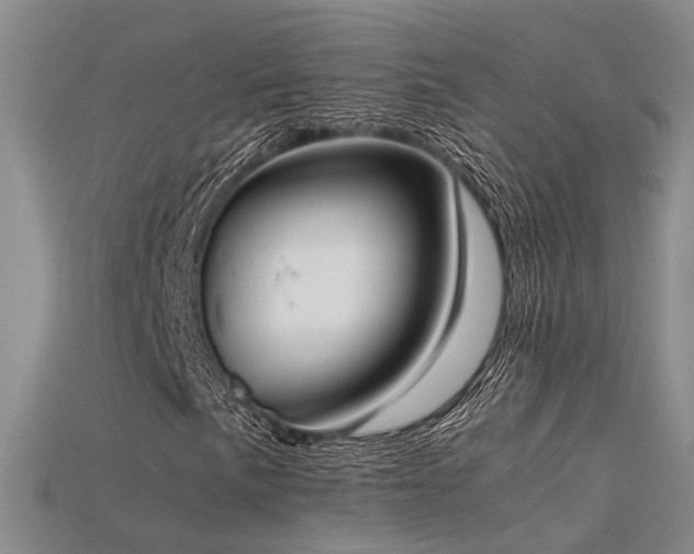 X0000115741057200911121533