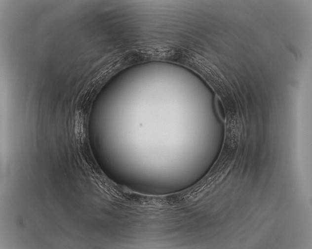 X0000115741058200911121533