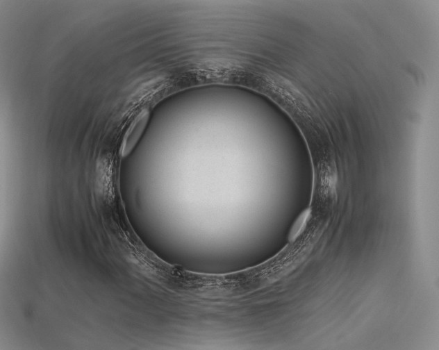 X0000115741060200911121533