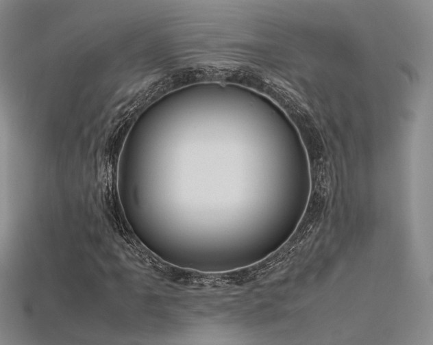 X0000115741061200911121533