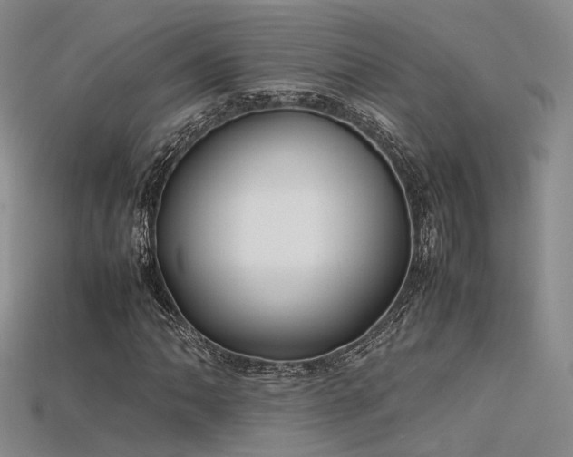 X0000115741062200911121533