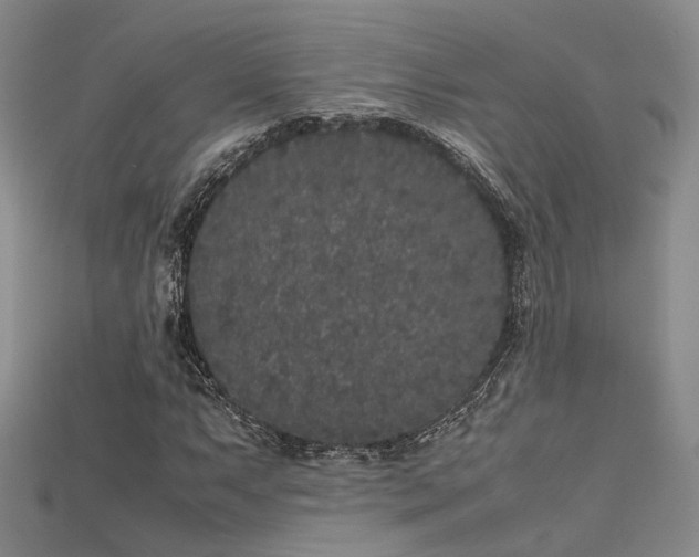 X0000115741063200911121533