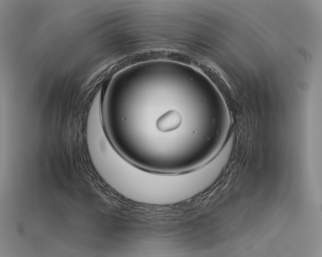X0000115741064200911121533