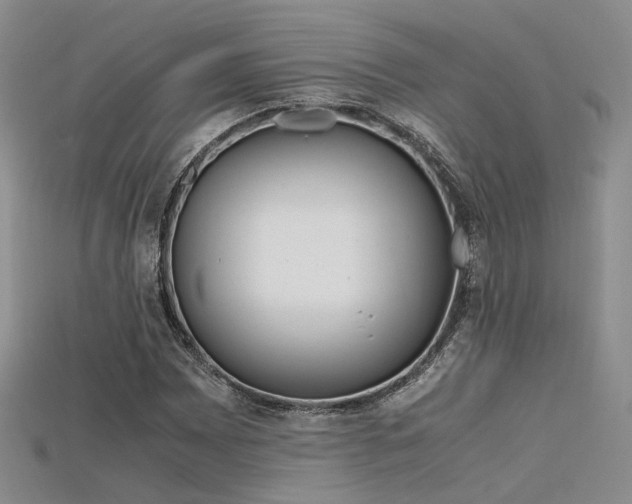 X0000115741065200911121533
