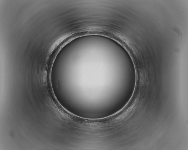 X0000115741066200911121533