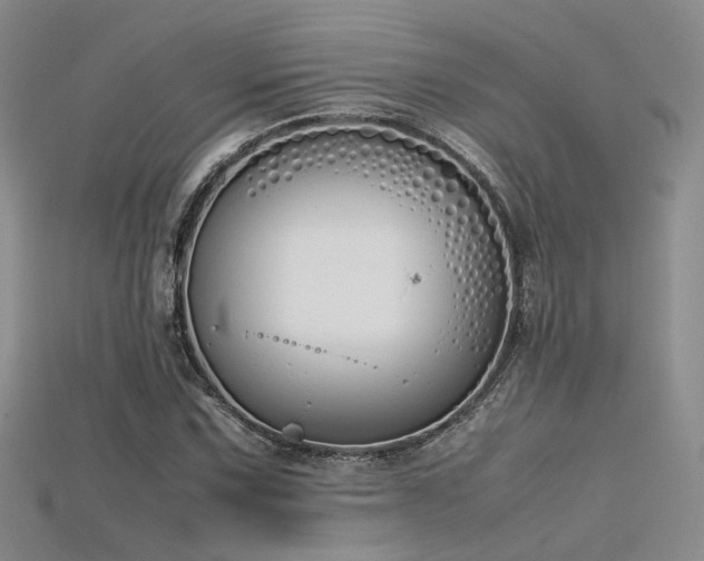 X0000115741067200911121533