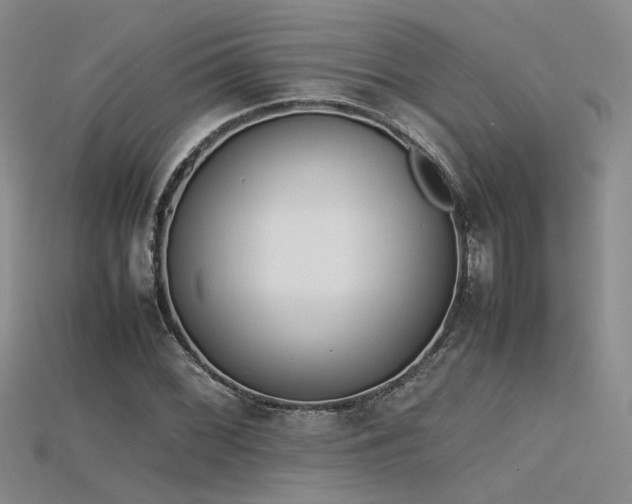 X0000115741068200911121533