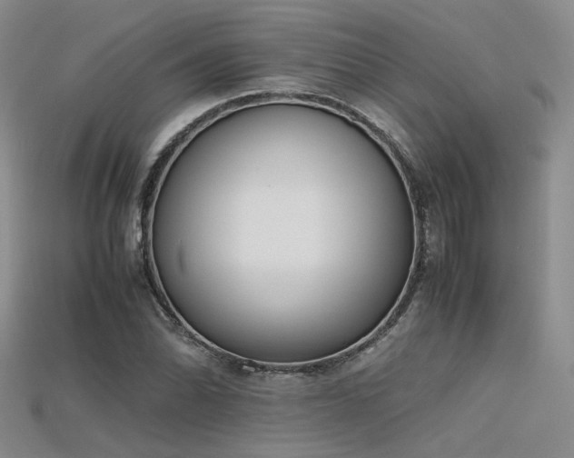 X0000115741070200911121533