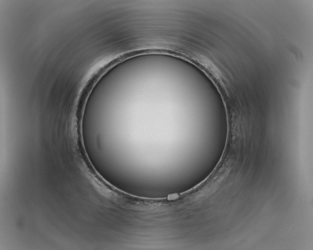 X0000115741072200911121532