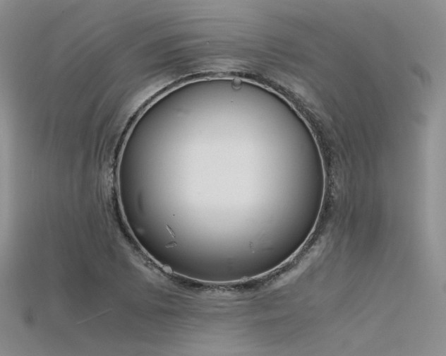 X0000115741073200911121532