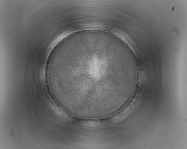 X0000115741074200911121532