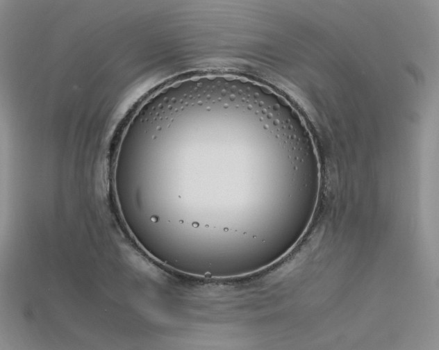 X0000115741075200911121532