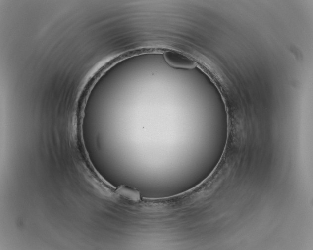 X0000115741076200911121532