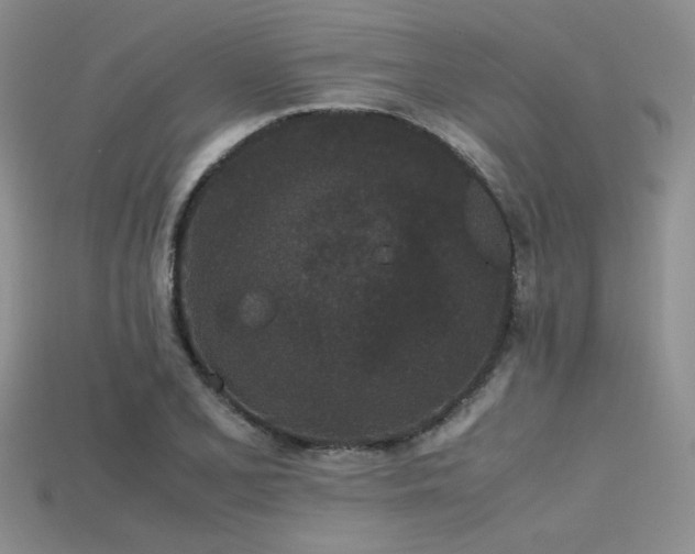 X0000115741077200911121532